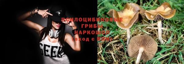 синтетический гашиш Алексин