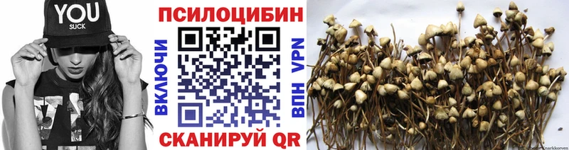 мориарти состав  Яровое  Псилоцибиновые грибы Psilocybe 